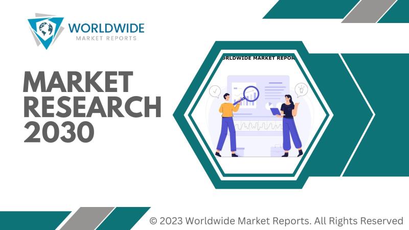 Oil Skimmers Market place Intelligence Report Provides Possible